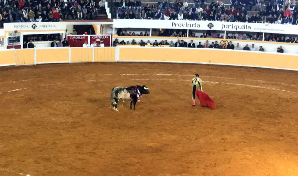 Rechazan iniciativa que prohibiría a menores entrar a corridas de toros