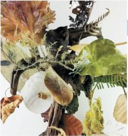 Con arte también se combate el Covid-19  