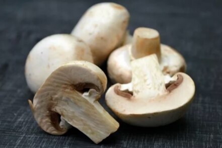 Por qué es bueno comer alimentos de temporada