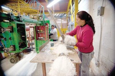 5 mil nuevas empresas al año