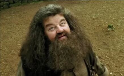 "Hagrid" de Harry Potter aparece en silla de ruedas