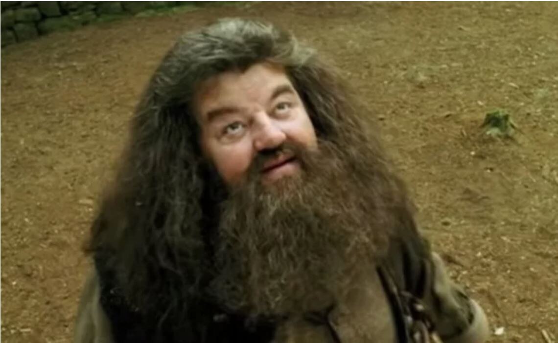 "Hagrid" de Harry Potter aparece en silla de ruedas