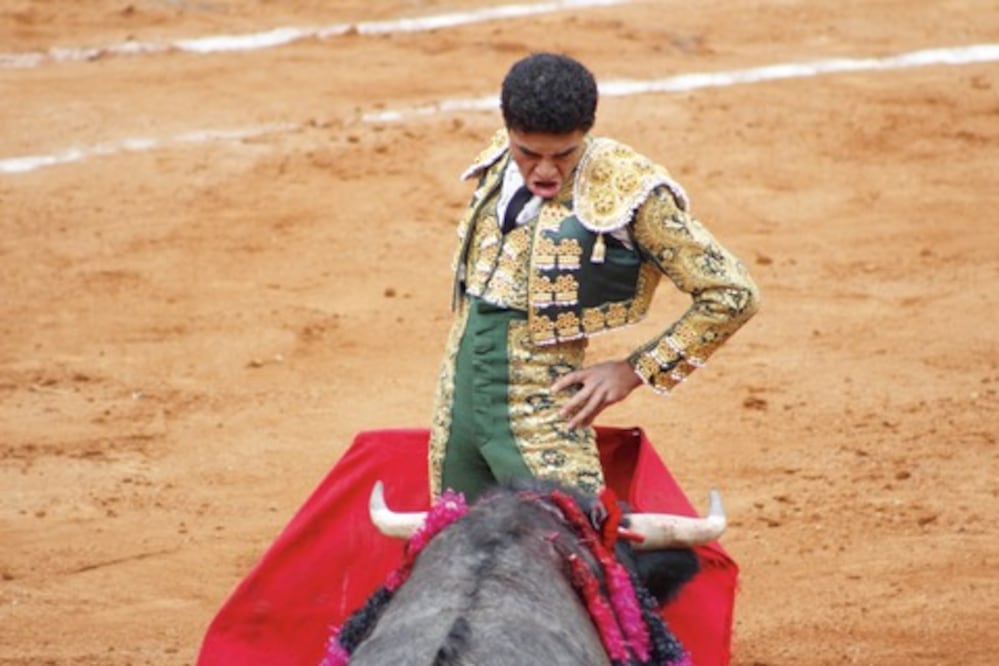 Novillada de Año Nuevo, sin orejas