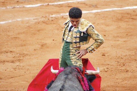 Novillada de Año Nuevo, sin orejas