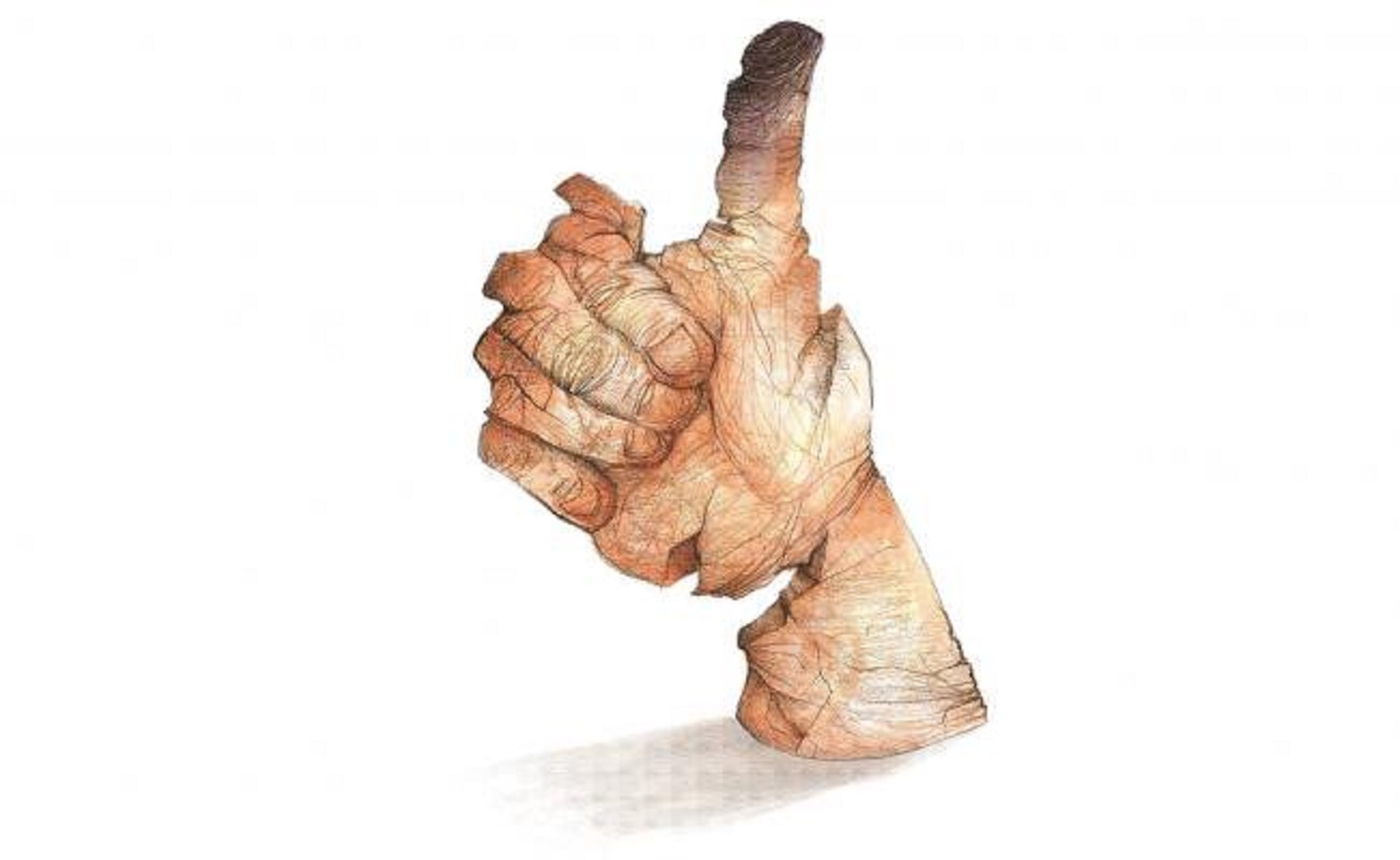 A la baja, el voto duro de partidos