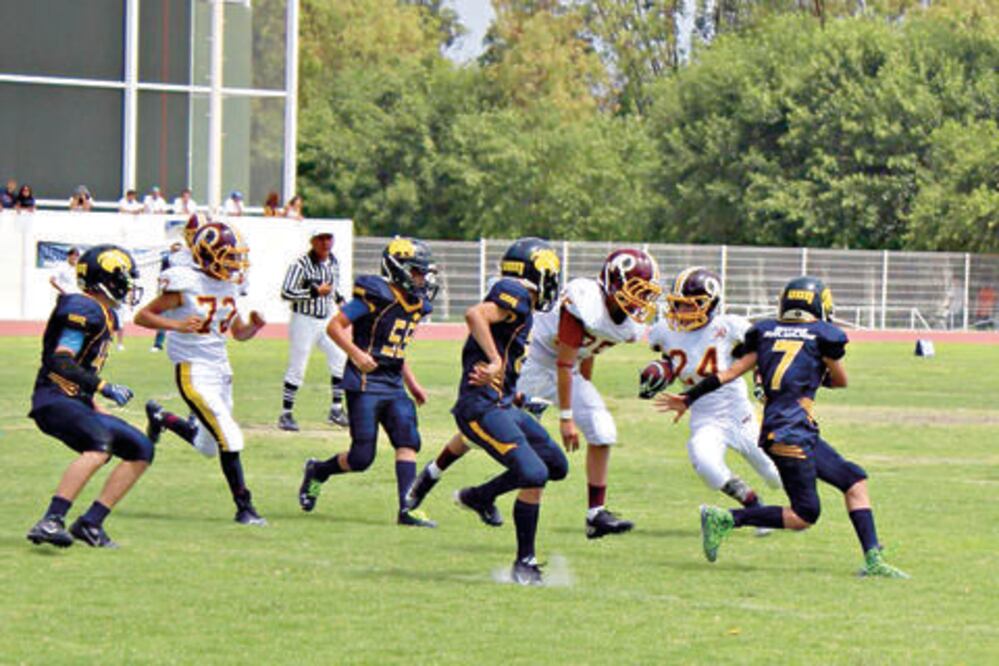 Gatos Salvajes rescata el honor jugando en casa