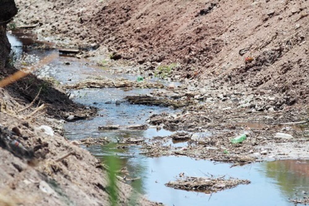 Buscan detener brote de dengue