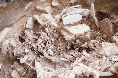 Impulsan rescate  del patrimonio fósil