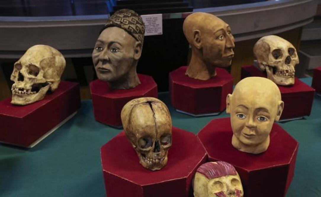 "Rostros del pasado" mostrará la reconstrucción de cráneos de habitantes de Tiahuanaco. Foto: EFE/Martín Alipaz