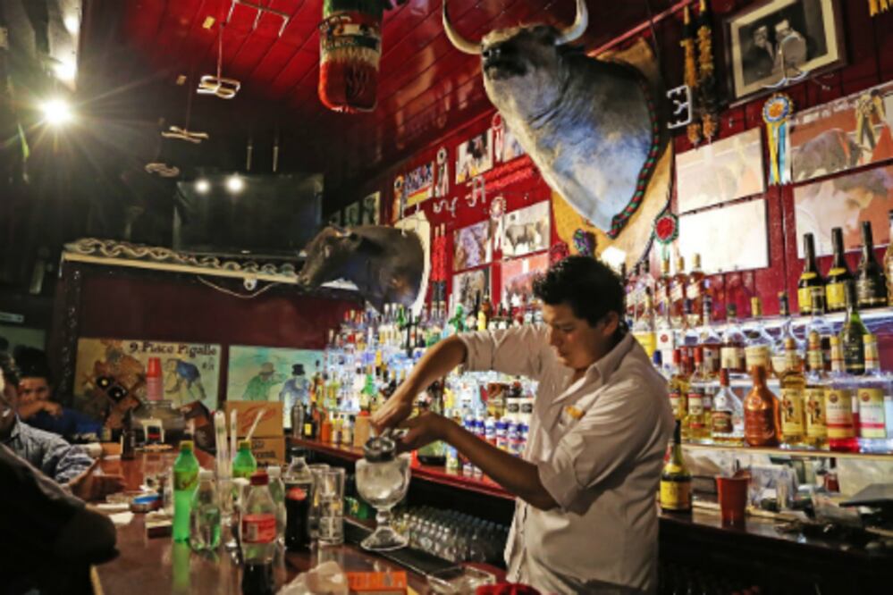 Adéntrate en La Selva Taurina