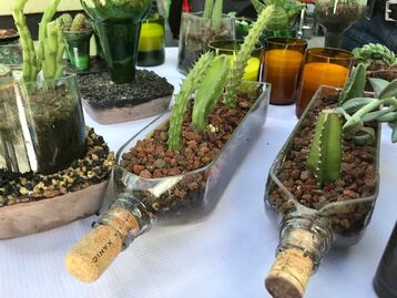 Reciclaje e imaginación trascienden como arte