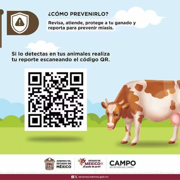 Información sobre gusano barrenador detectado en una cabra en Edomex (01/01/2026). Foto: Especial