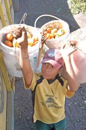 La STPS vigilará que no empleen a menores