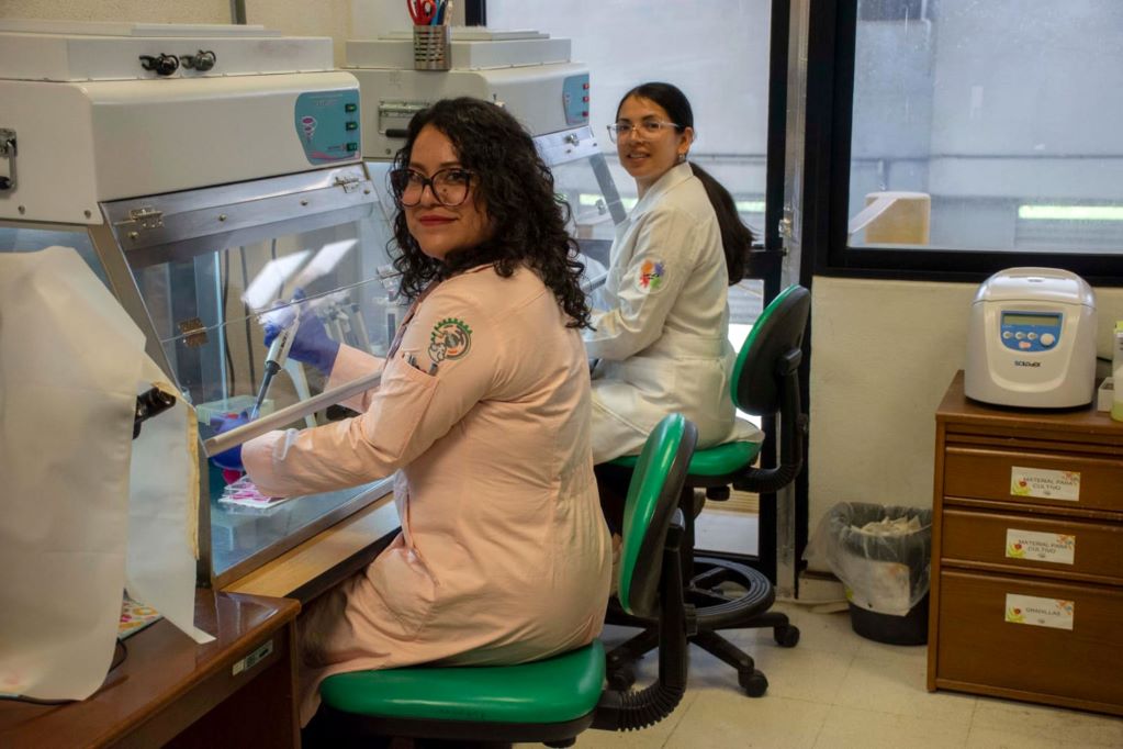 Investigadoras de la UNAM Juriquilla trabajan con nanotecnología para regenerar tejidos