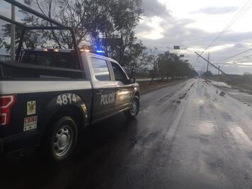 Por caída de árboles y postes, cierran carretera en Querétaro