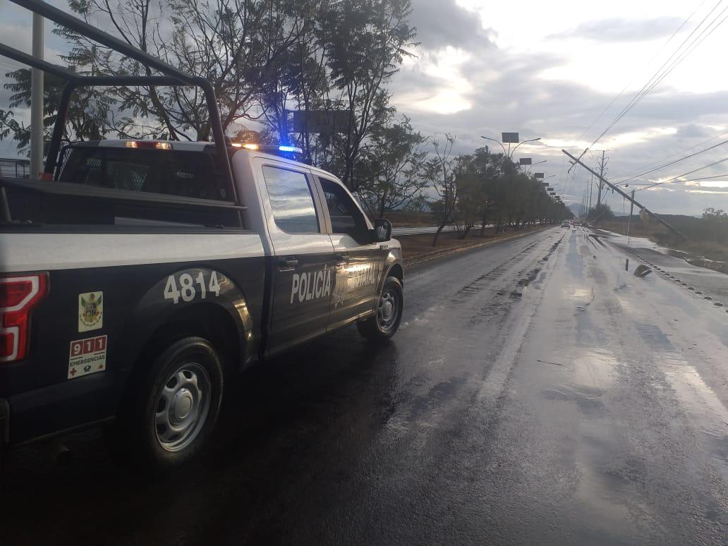 Por caída de árboles y postes, cierran carretera en Querétaro