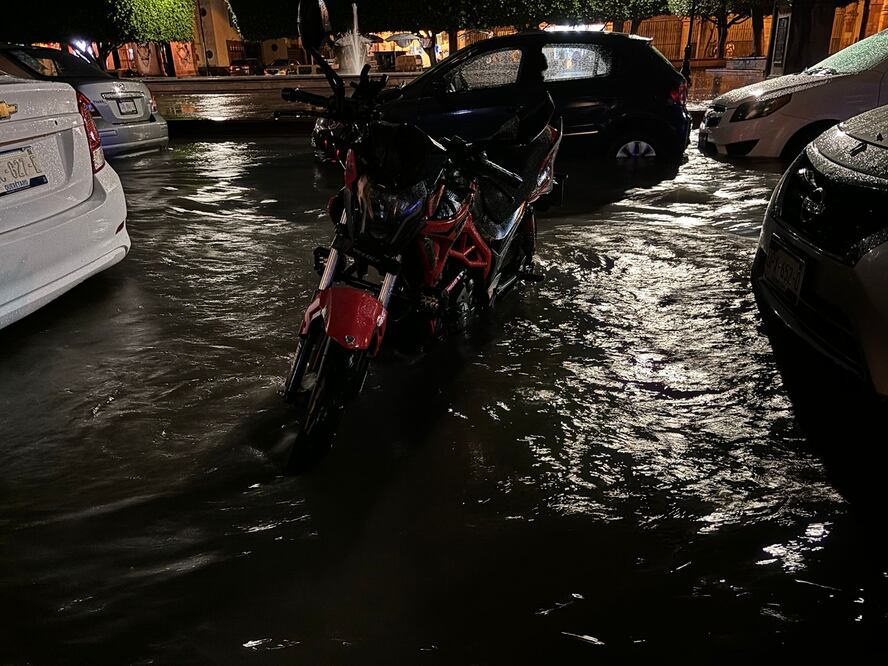 Foto: Demian Chávez