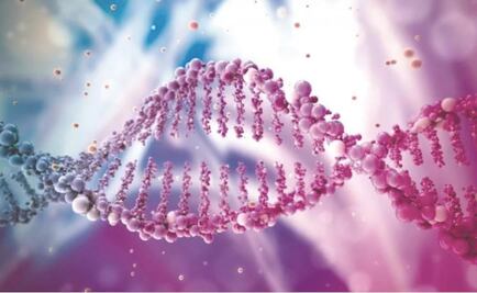 El primer retrato completo de la secuencia del genoma humano