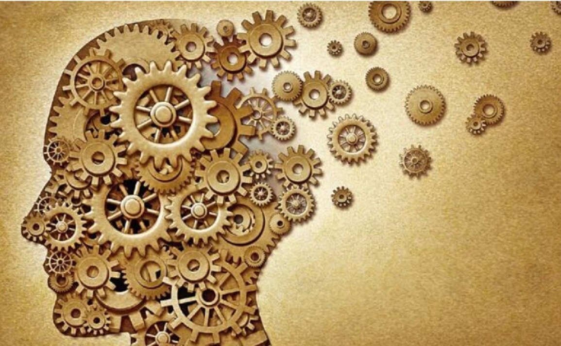 Sorprender al cerebro con actividades nuevas ayuda a retardar Alzheimer