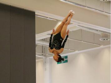 Campeonato de gimnasia