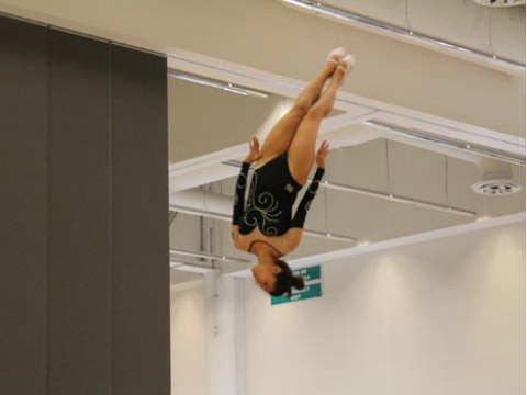 Campeonato de gimnasia