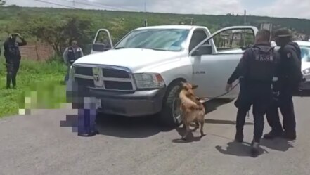 Ares lo vuelve a hacer; localiza droga en los límites de Querétaro 