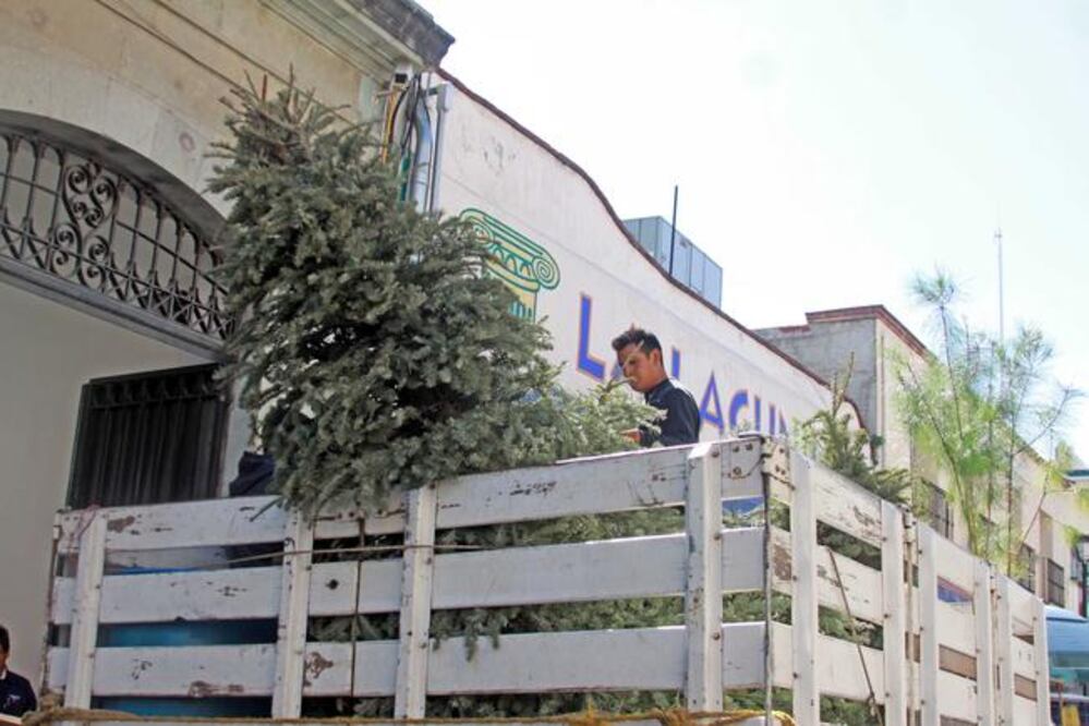 Foto: Archivo. El Universal