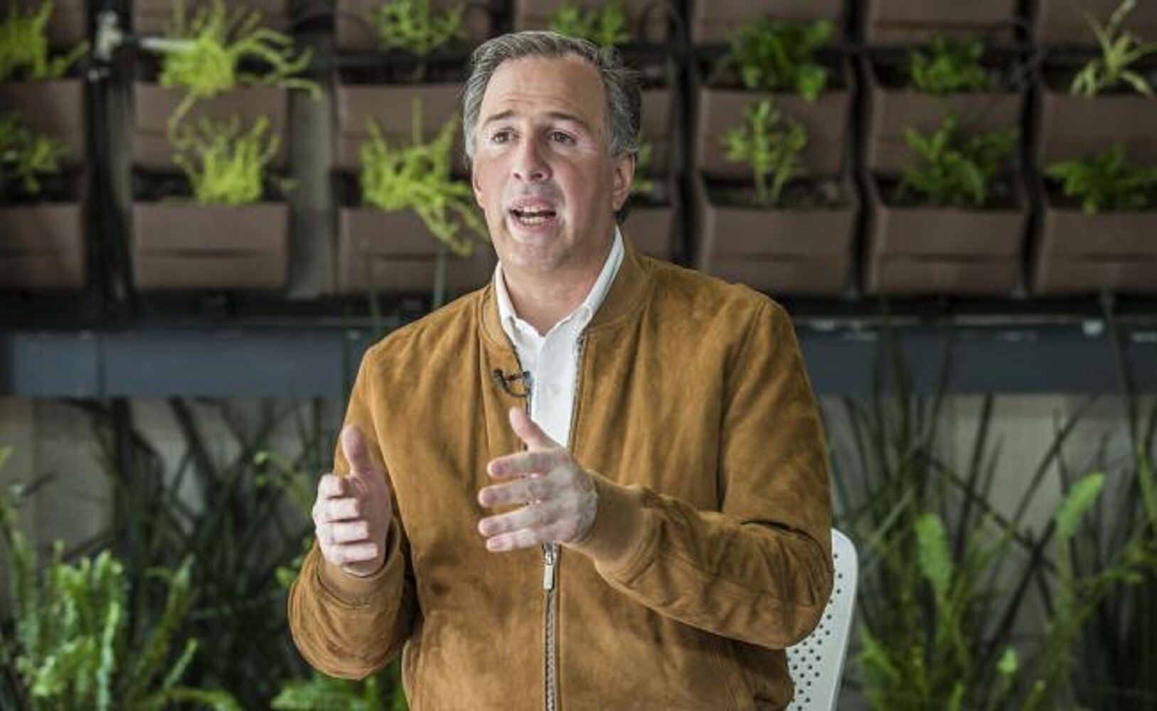 Problemas del país no se enfrentan con ocurrencias ni palomazo, dice Meade