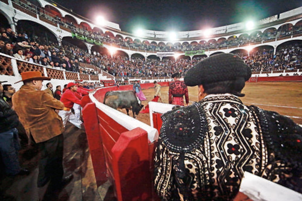 Sin certeza, iniciativa de tauromaquia