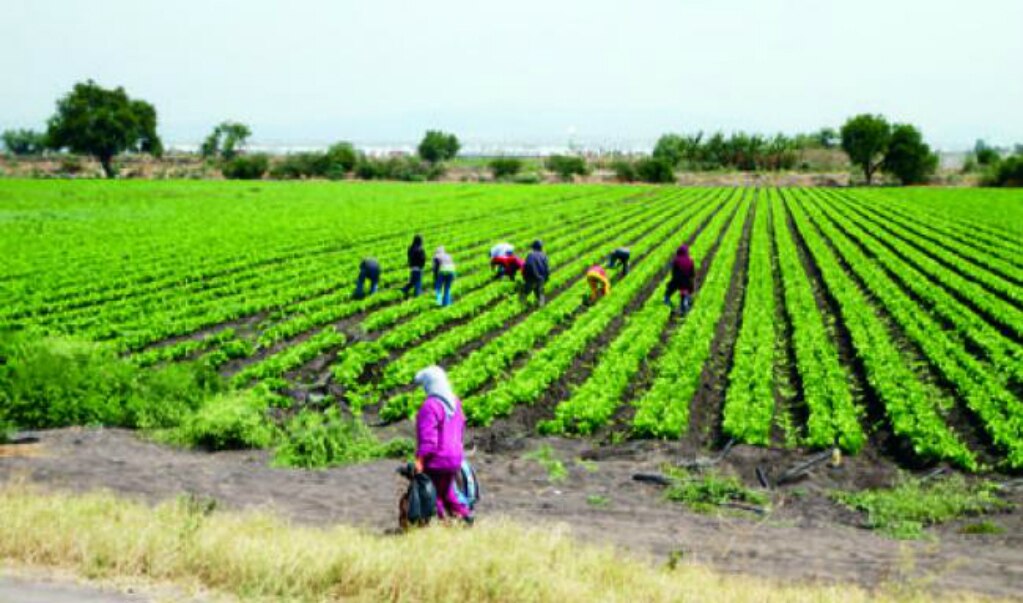 Crece invasión a ejidos en SJR; proponen regularizar 