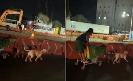 Captan trineo de perros en Querétaro; transitaba por las obras de 5 de Febrero