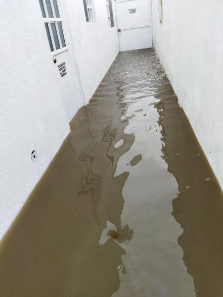Refugio se inunda en Tequisquiapan; lomitos se quedaron entre el agua 