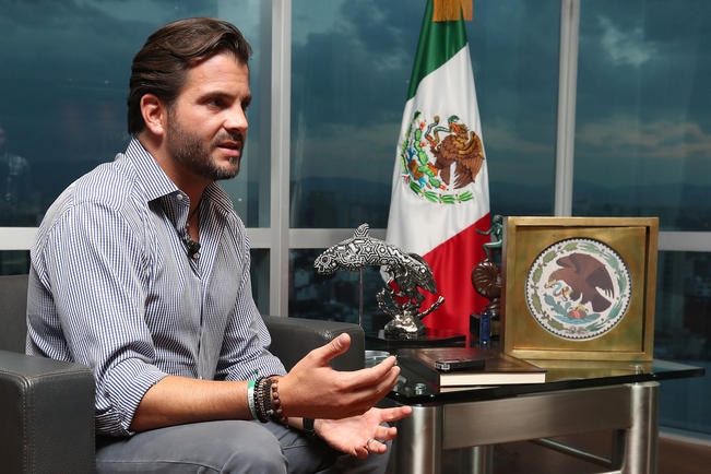 “Vaquita marina enfrenta enemigo parecido al narco”