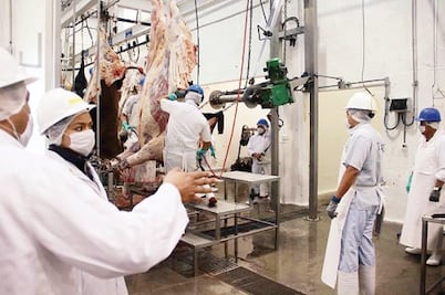 Benéfica ampliación del rastro: UGREQ