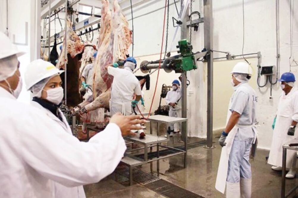 Benéfica ampliación del rastro: UGREQ