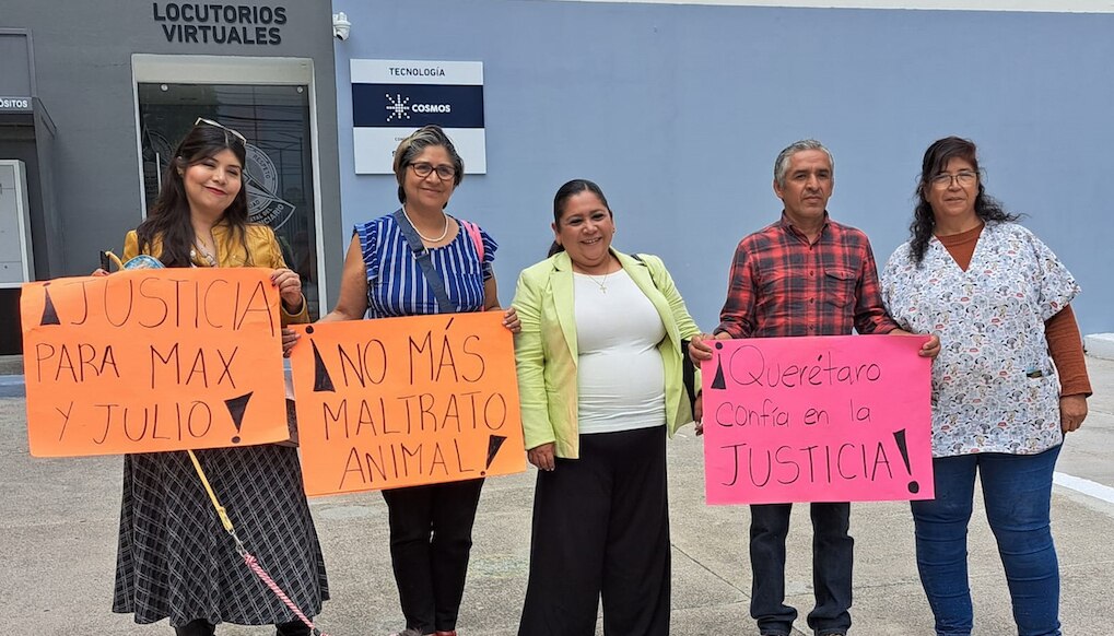 Culpable, hombre que atropelló a dos lomitos en Las Américas