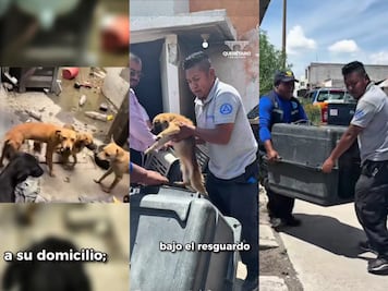 Tras denuncias ciudadanas, rescatan a ocho perritos en condiciones de maltrato en Hacienda Santa Rosa