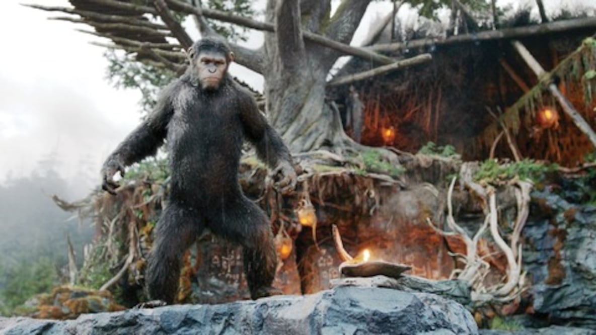 Se imponen los simios modernos