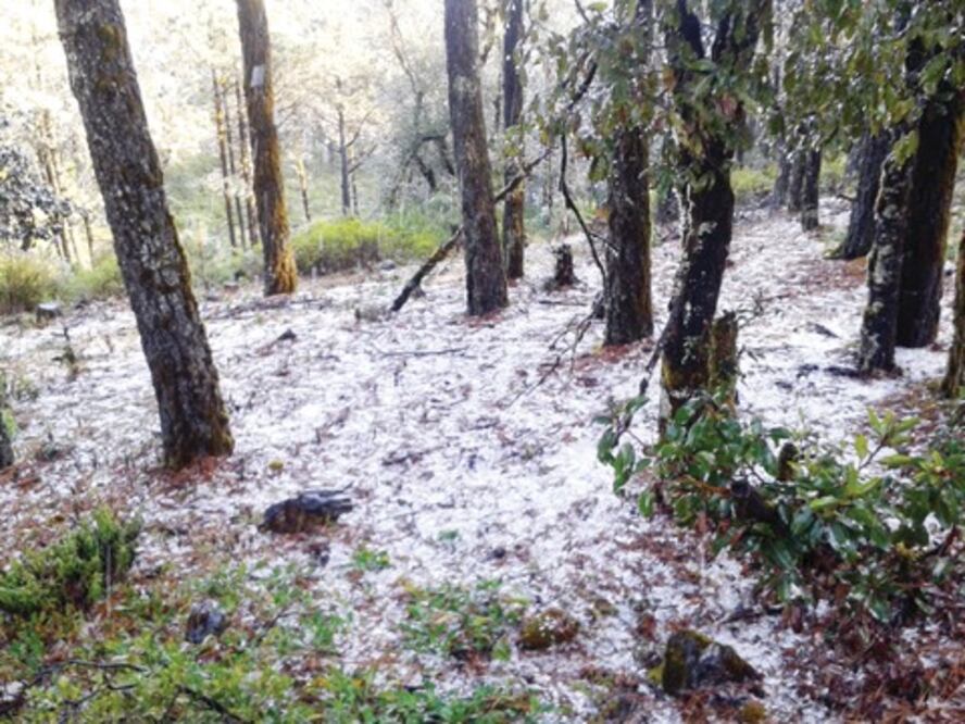 Helada en Pinal de Amoles