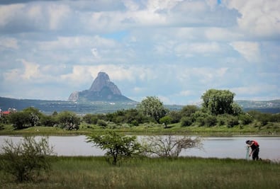 Vendimia en San Juanito