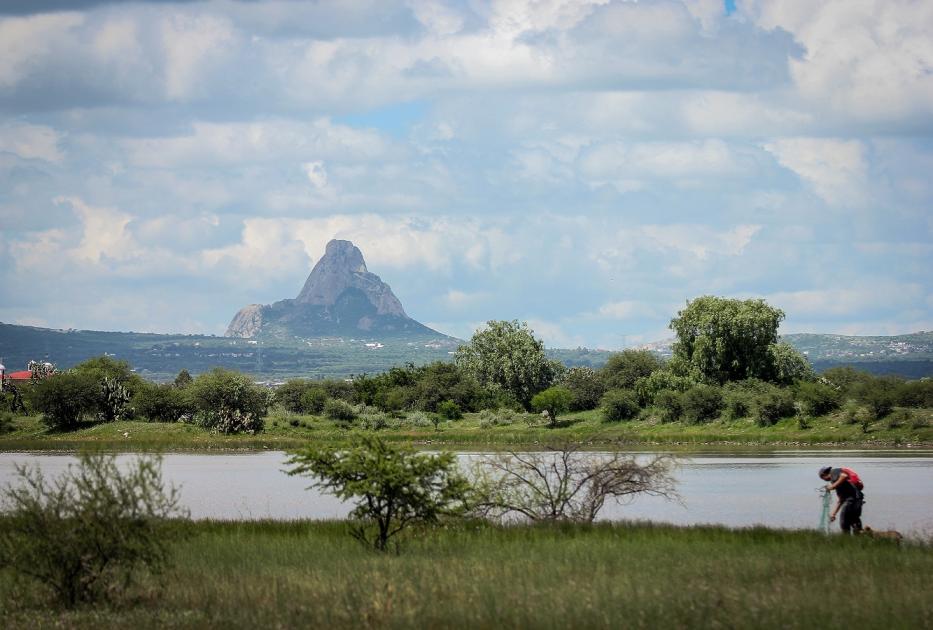 Vendimia en San Juanito