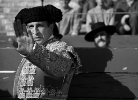 Se alistan los Goya, fiesta del cine español