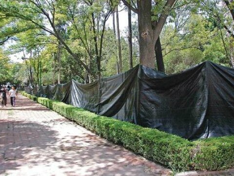 Aprobación para dar inicio a obras 