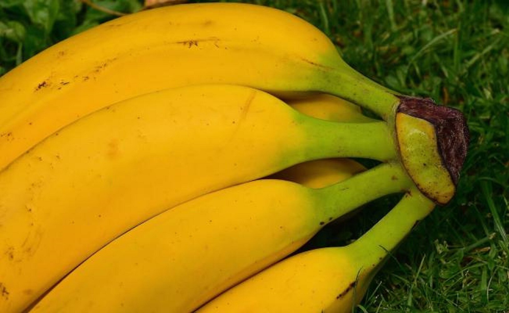 7 alimentos que debes comer antes de hacer ejercicio