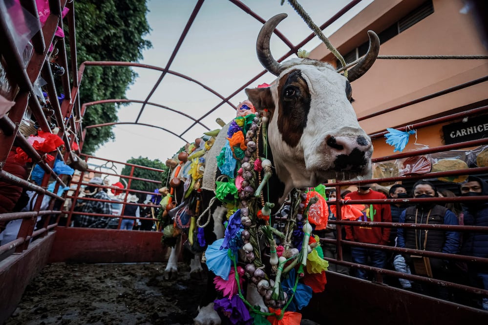 Foto: Demian Chávez