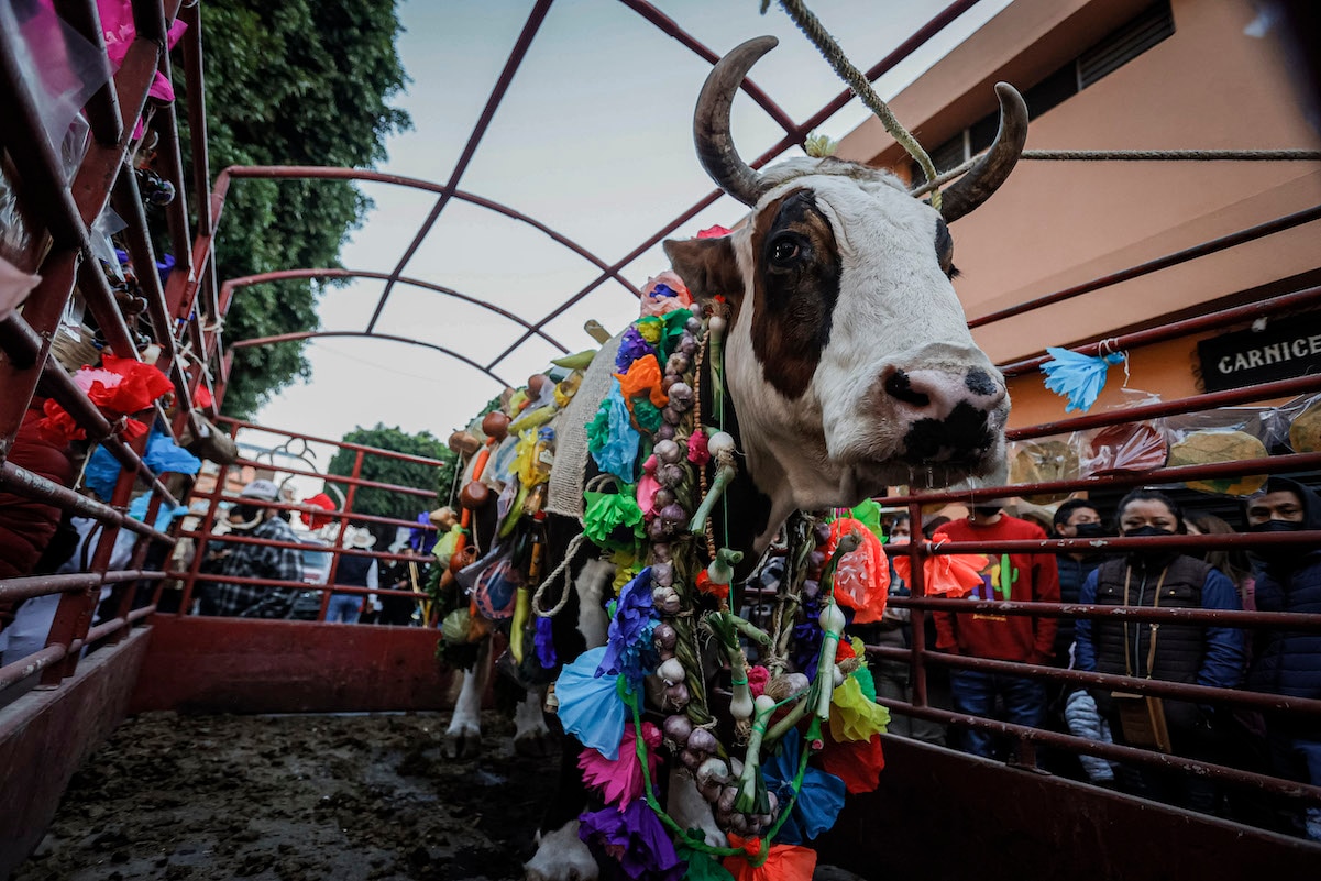 Regresan los colores del Paseo del Buey