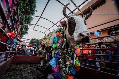 Regresan los colores del Paseo del Buey