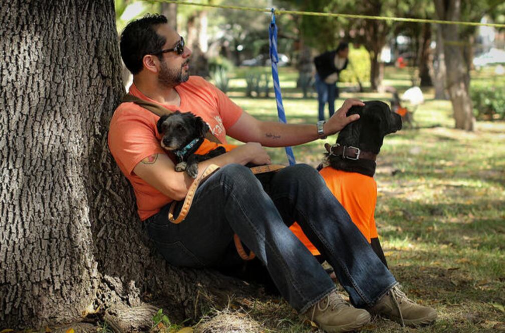Los últimos domingos de ada mes, el Parque de Carretas se llena de decenas de canes en espera de ser adoptados.
