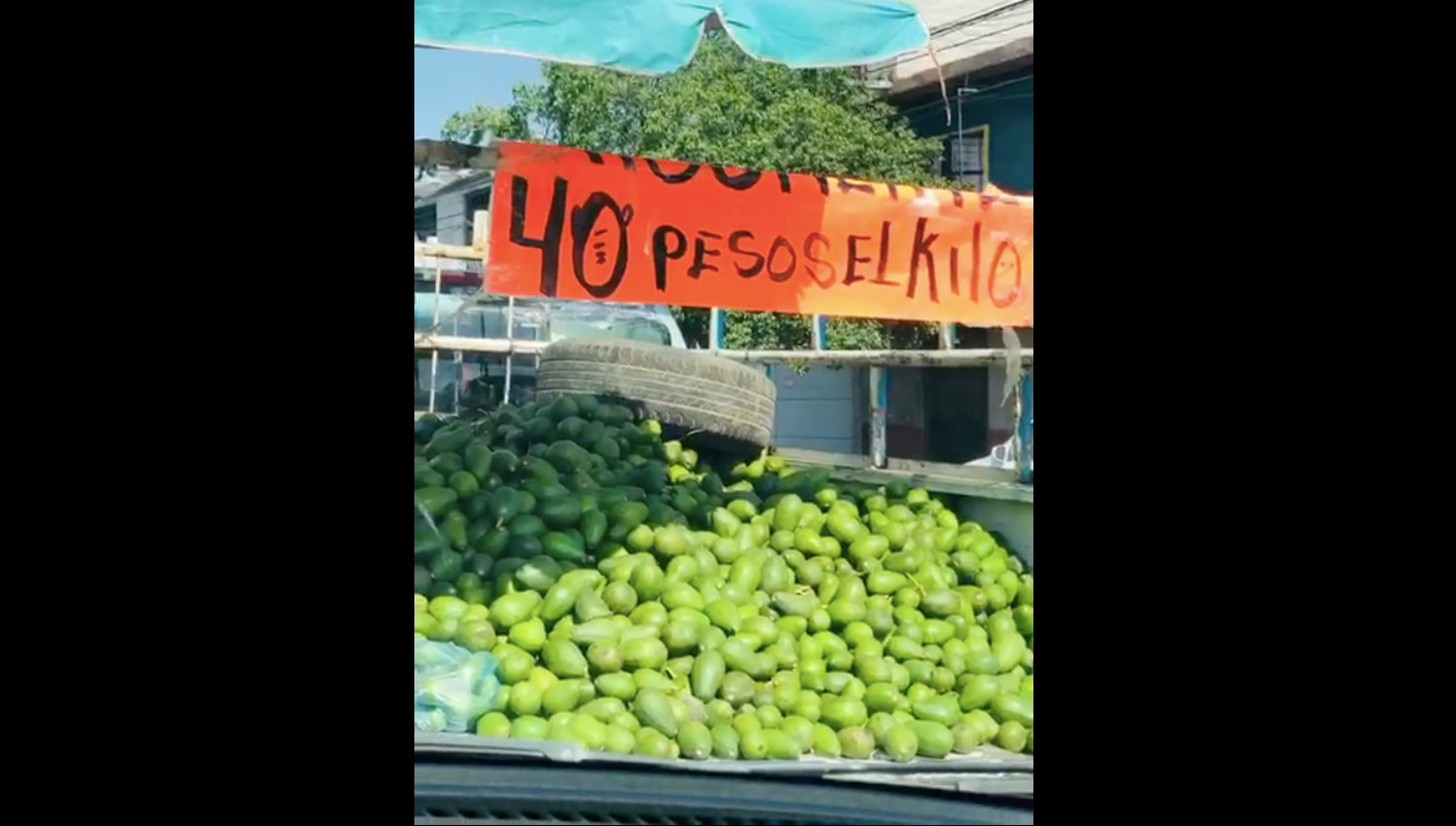 Foto: Captura de pantalla. Cortesía. Edgar Barajas
