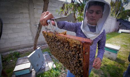  Miel, único alimento natural sin caducidad